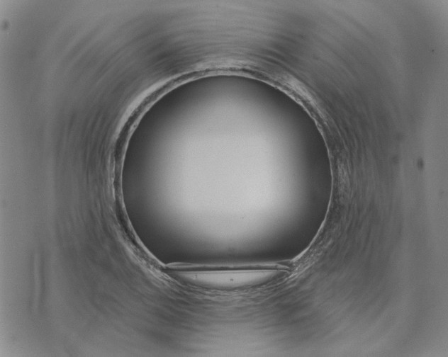 X0000075371124200609251120