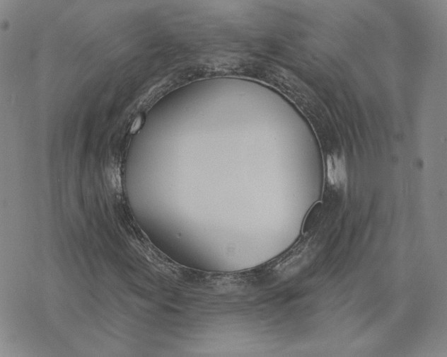 X0000075371155200609251120