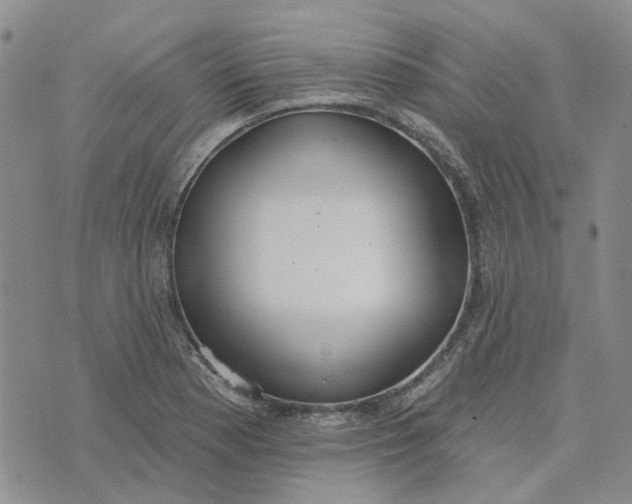 X0000075371177200609251119