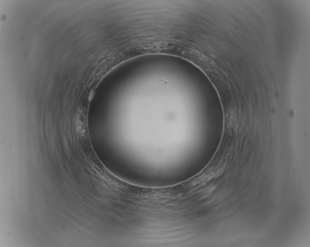 X0000075371202200609251118