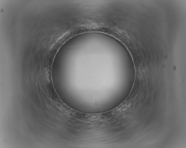 X0000075371205200609251118