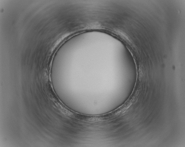 X0000075371212200609251118