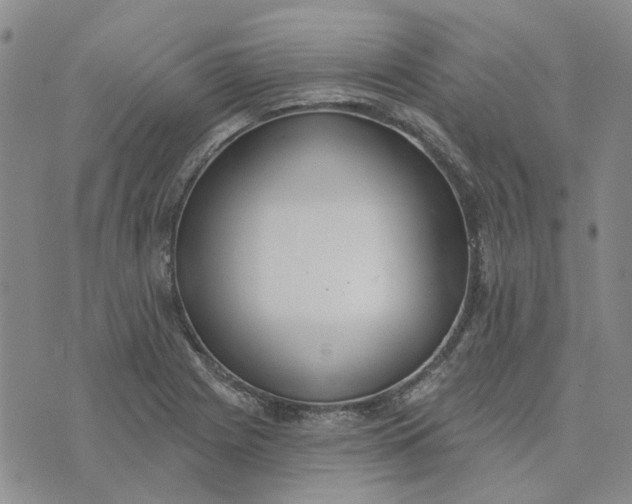 X0000075371225200609251119