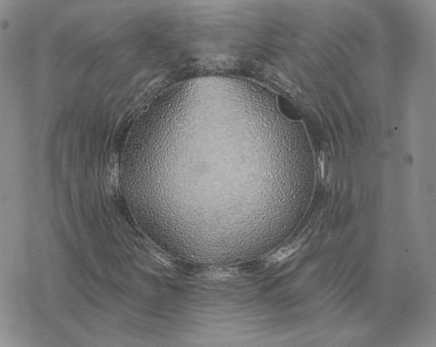 X0000075371251200609251118