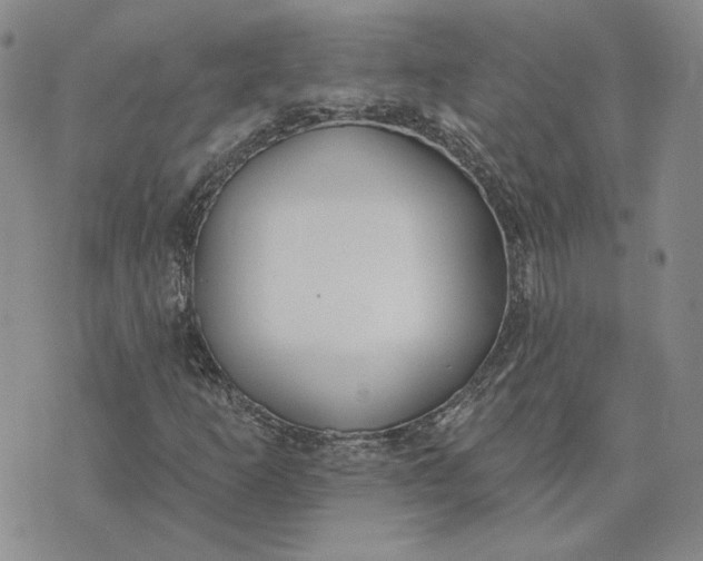 X0000075371253200609251118