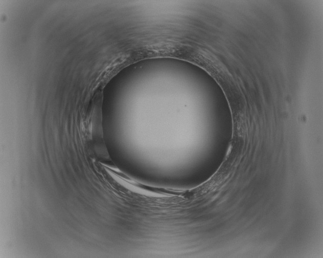 X0000075371298200609251117