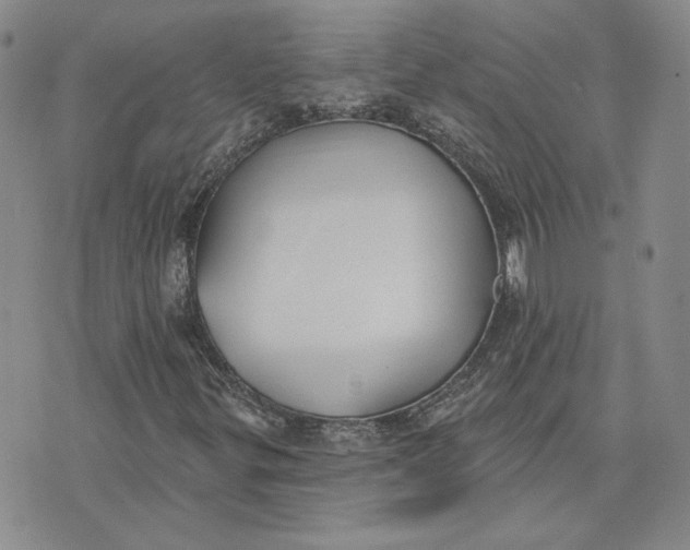 X0000075371299200609251117