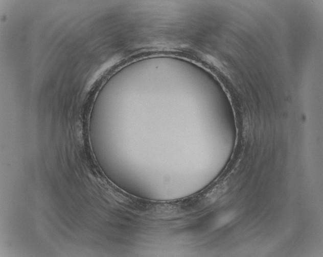 X0000075371307200609251117
