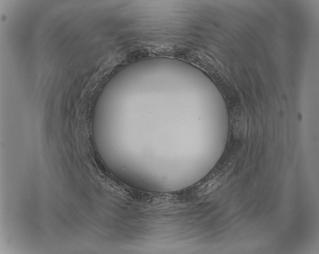 X0000075371345200609251117