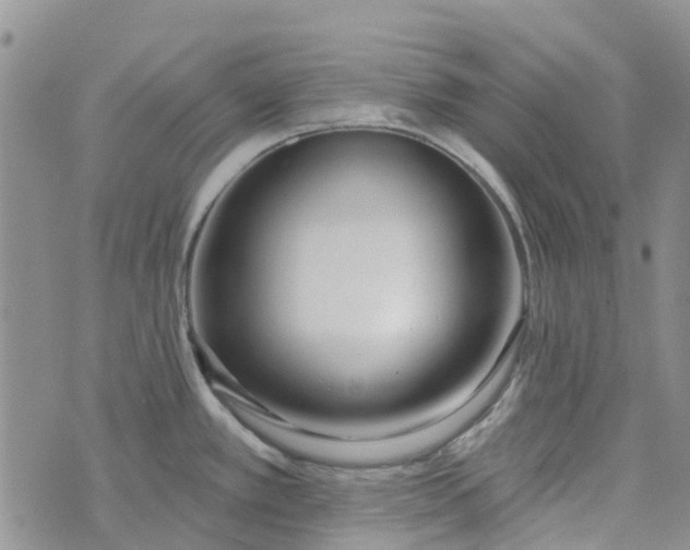 X0000075371389200609251116