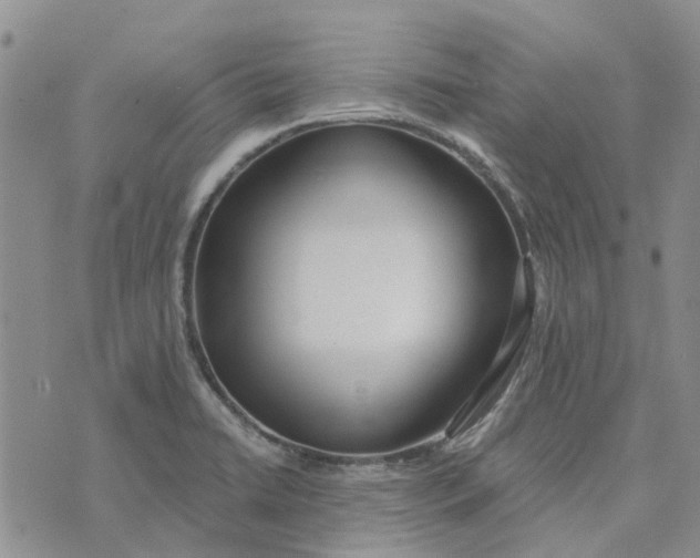 X0000075371422200609251116