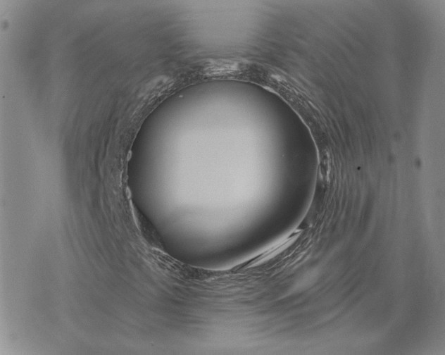 X0000075371441200609251115