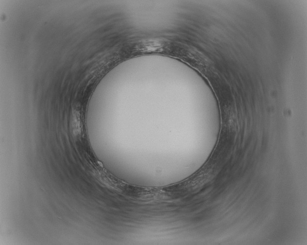 X0000075371442200609251115