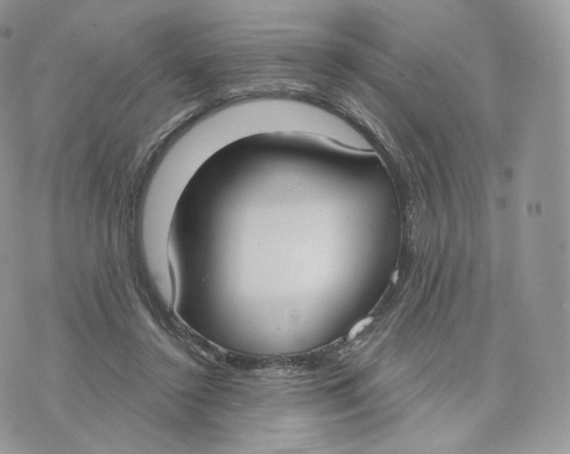 X0000075370356200609291532