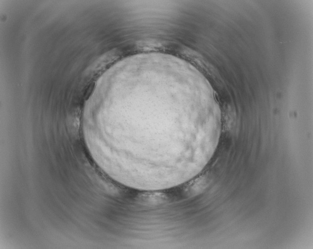 X0000075370427200609291531