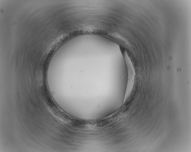 X0000075370496200609291529