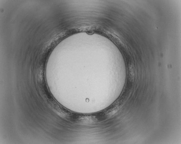 X0000075370499200609291529