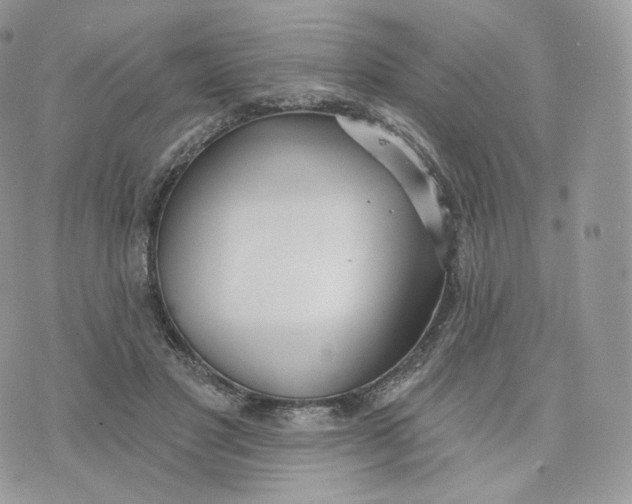 X0000075370501200609291529