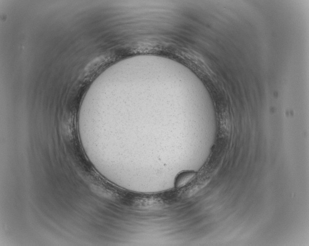 X0000075370503200609291529