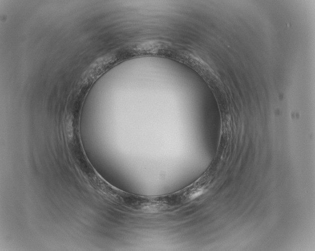 X0000075370504200609291529