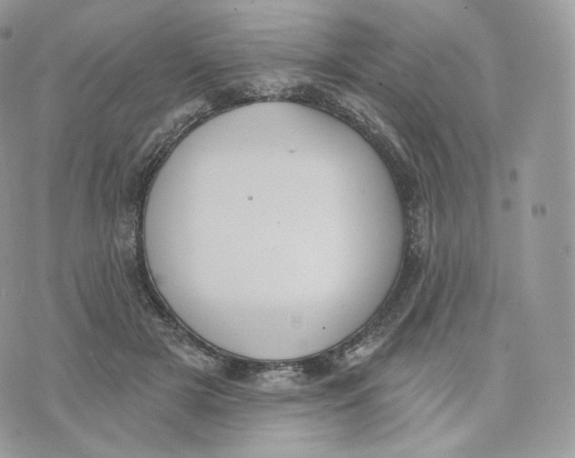 X0000075370505200609291529