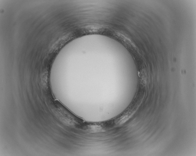 X0000075370509200609291529