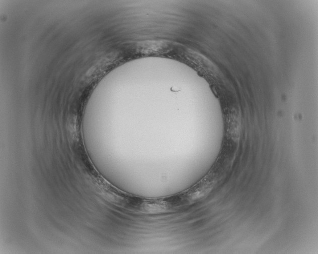 X0000075370510200609291529