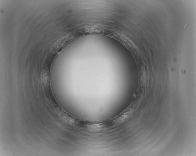 X0000075370513200609291529