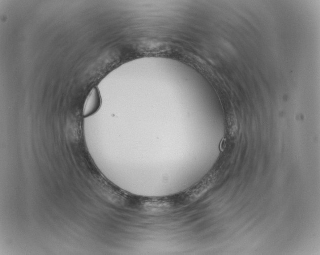 X0000075370515200609291529