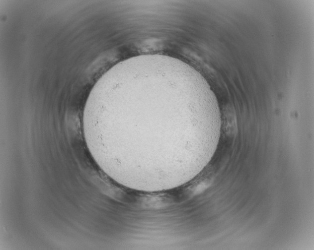 X0000075370523200609291529