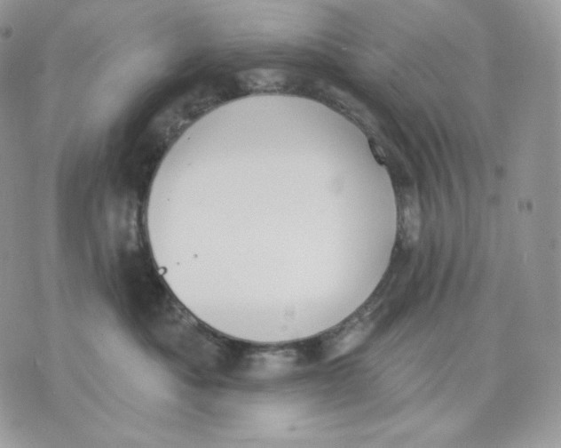 X0000075370525200609291529