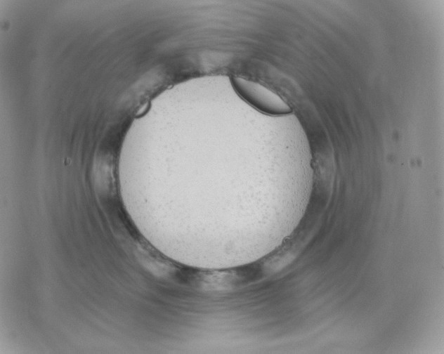 X0000075370527200609291529