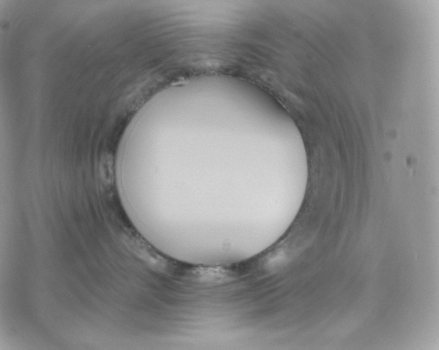 X0000075370528200609291529