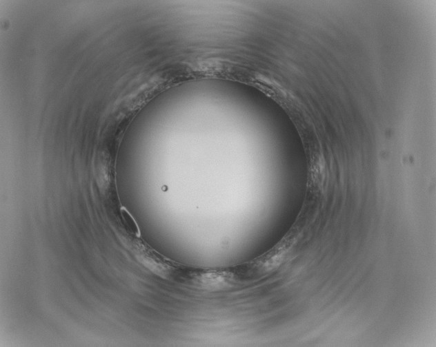 X0000075370566200609291529