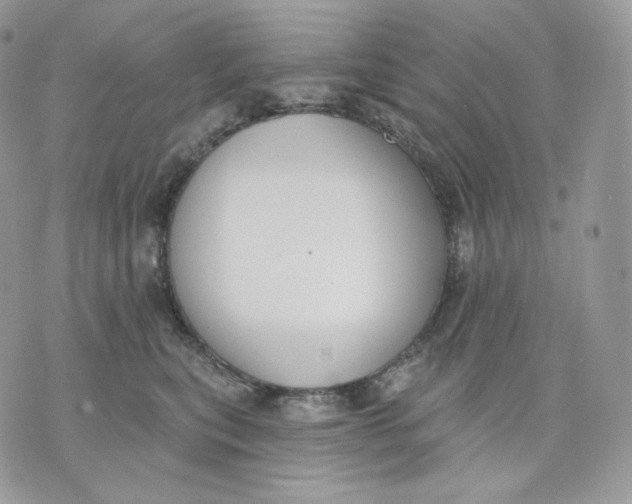 X0000075370567200609291529