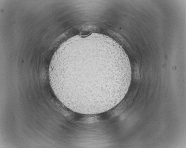 X0000075370569200609291529