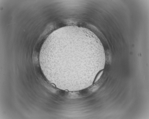 X0000075370573200609291529