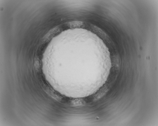 X0000075370761200609291526