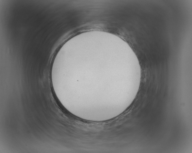 X0000075370004200610061825