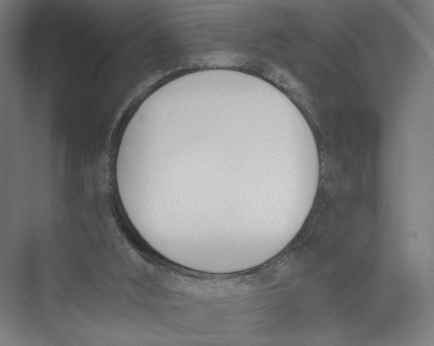 X0000075370012200610061825