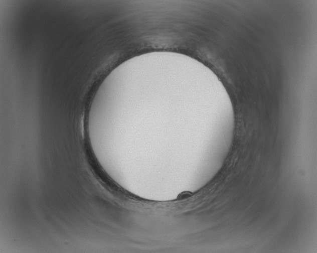 X0000075370019200610061825