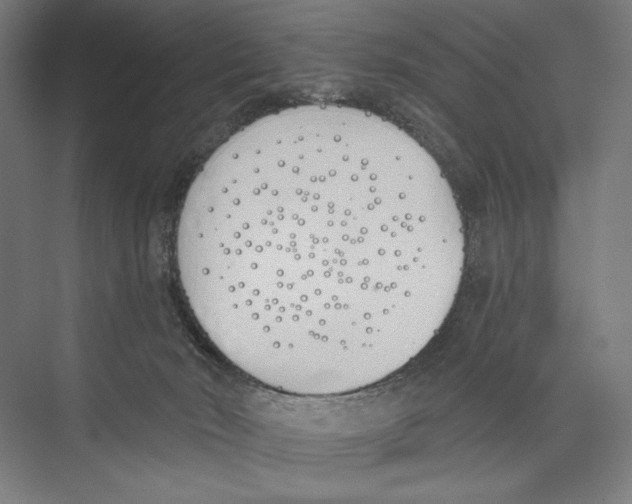 X0000075370030200610061824