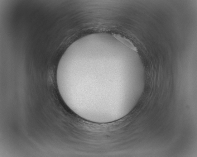 X0000075370035200610061824