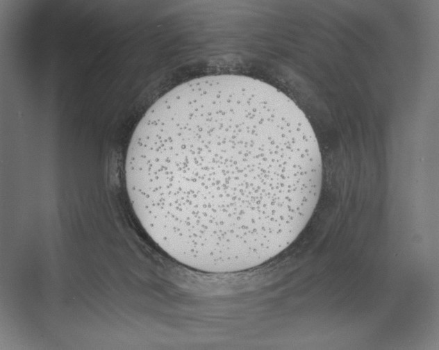 X0000075370038200610061824