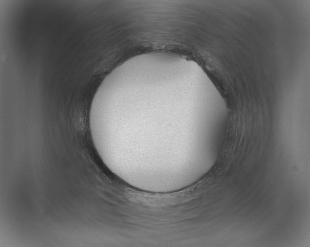 X0000075370039200610061824