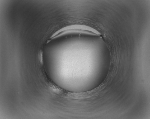 X0000075370041200610061824