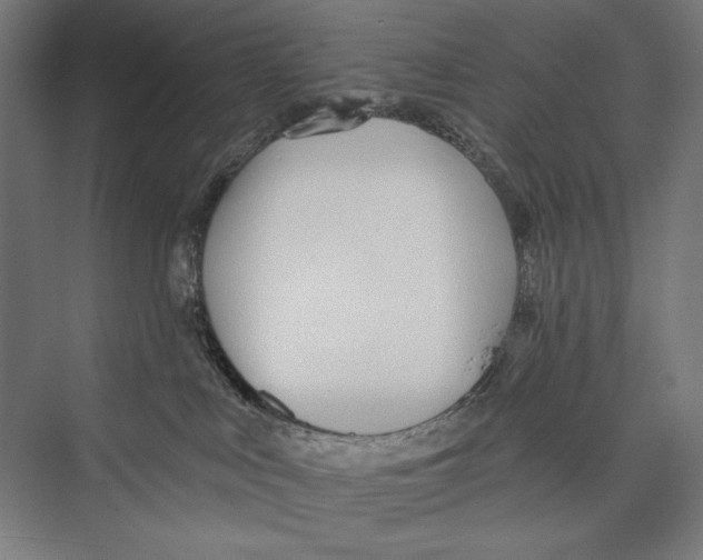 X0000075370043200610061824