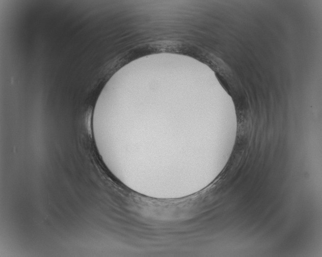 X0000075370047200610061824