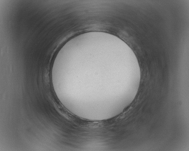 X0000075370050200610061823
