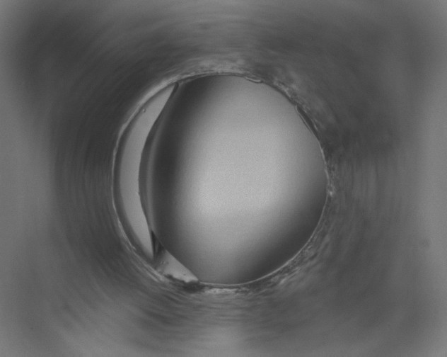 X0000075370052200610061823